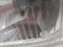 $_57.JPG?set_id=880000500F