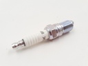 SET OF 12 HE V12 NGK SPARK PLUG