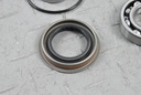 X300 OUTPUT SHAFT BEARING REPAIR KIT