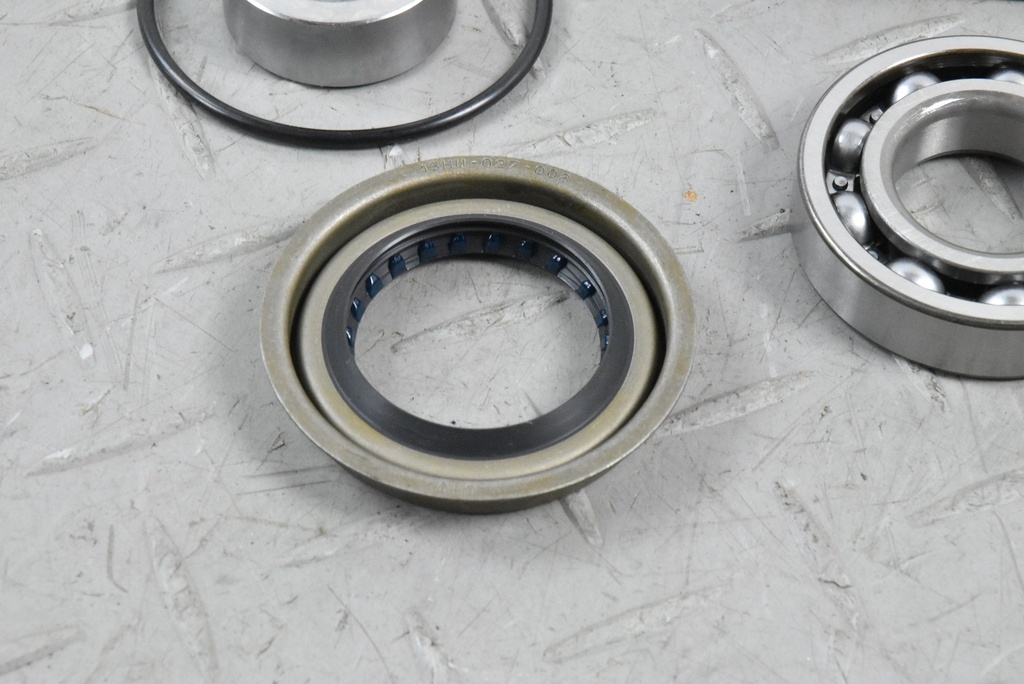 X300 OUTPUT SHAFT BEARING REPAIR KIT