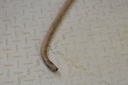 $_57.JPG?set_id=8800005007