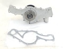 LATE V12 WATER PUMP SERPENTINE BELT