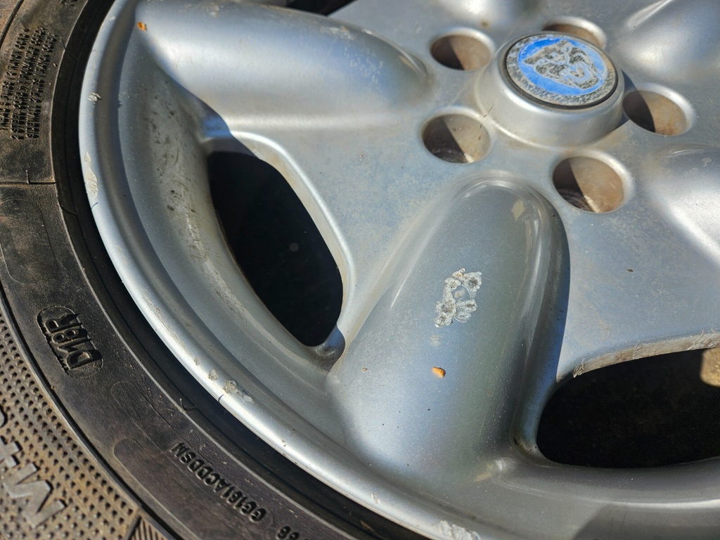 $_57.JPG?set_id=880000500F