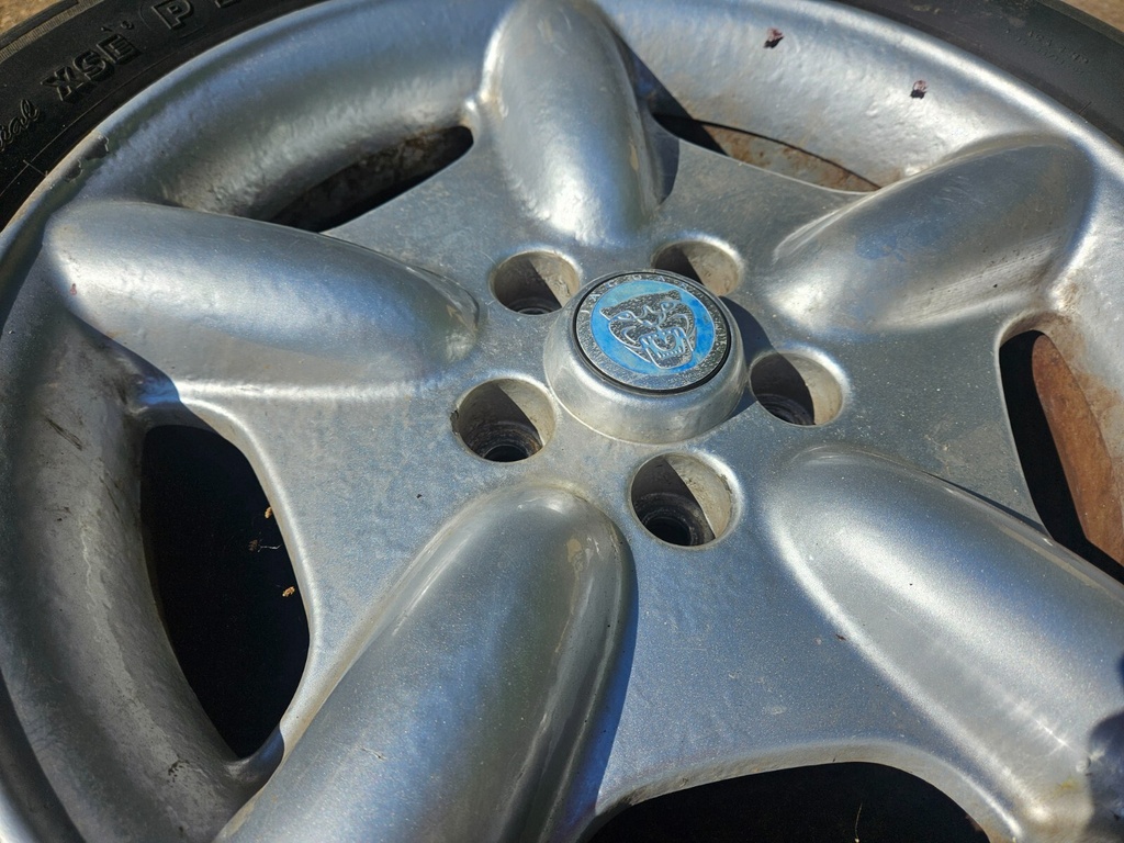 $_57.JPG?set_id=880000500F