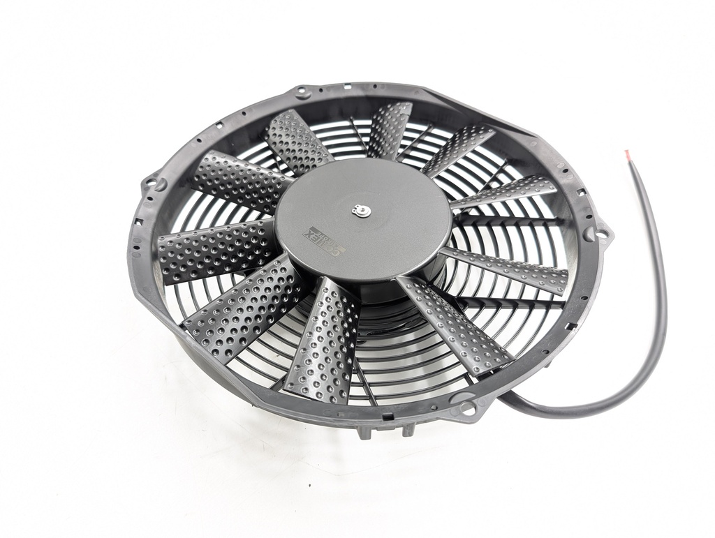 PXL_20251002_100958572