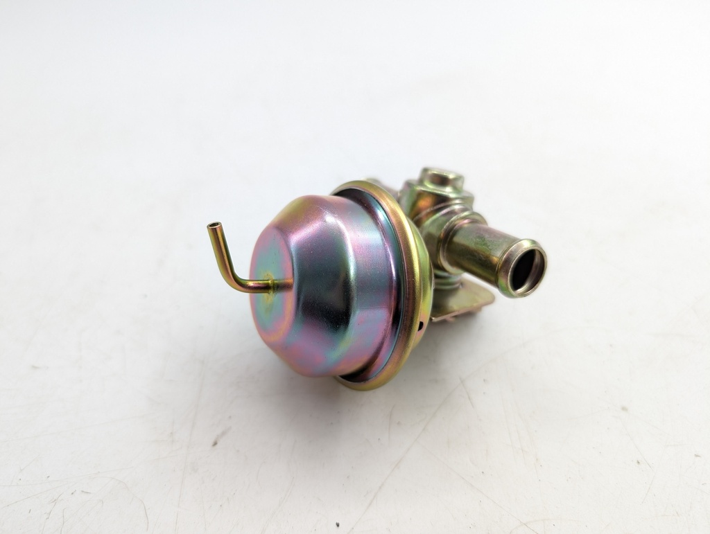 PXL_20251030_164152639