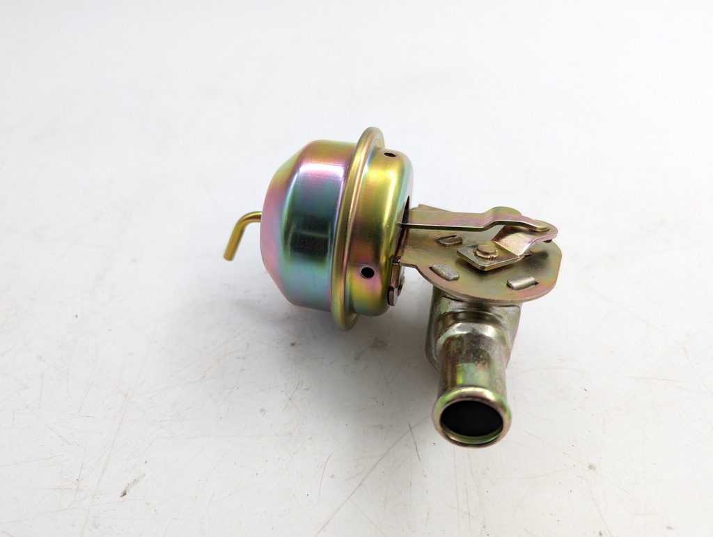 PXL_20251030_164207234