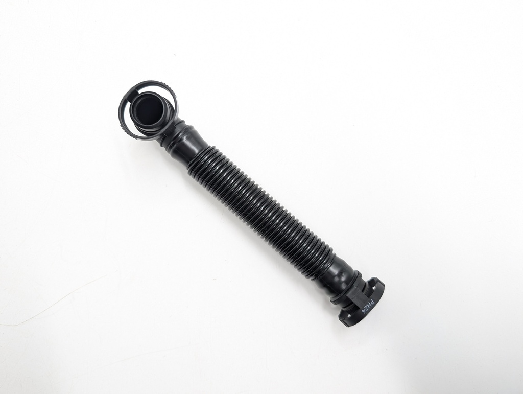 PXL_20251031_103640164