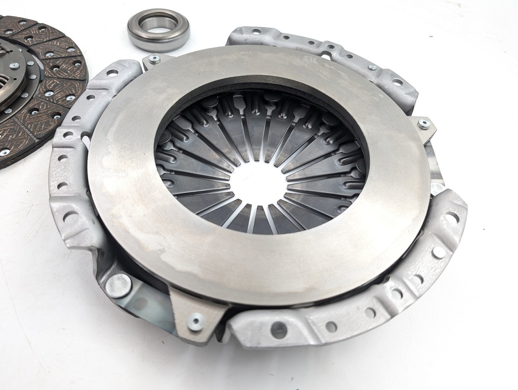 PXL_20251113_100025475