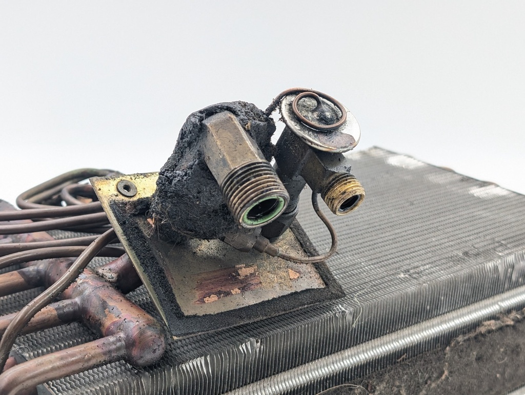 $_57.JPG?set_id=880000500F