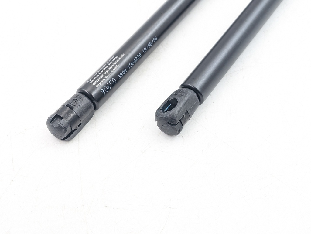 PAIR OF XJ40 BONNET GAS STRUTS