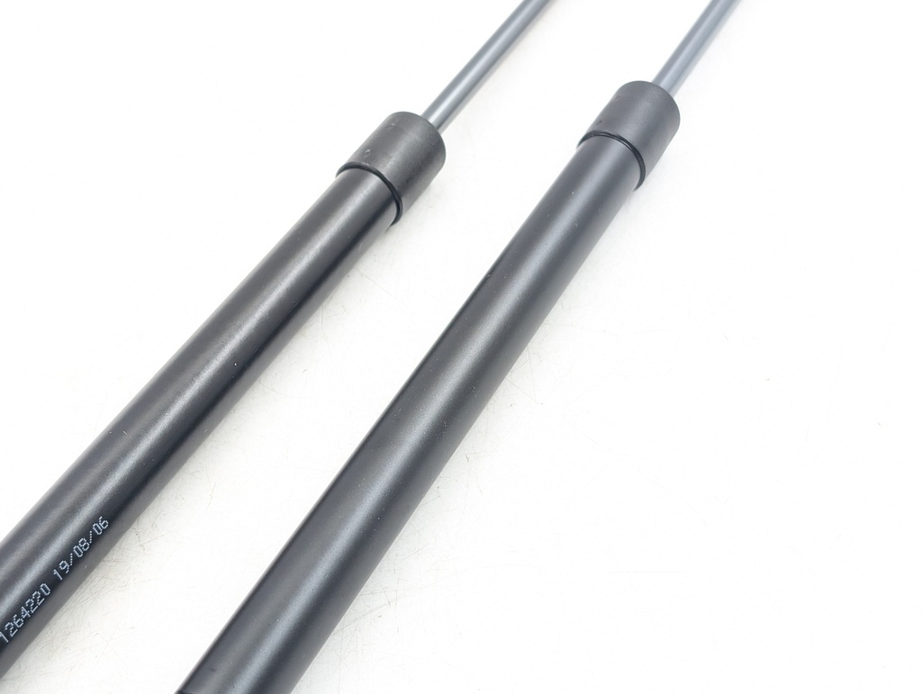 PAIR OF XJ40 BONNET GAS STRUTS