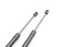 PAIR OF XJ40 BONNET GAS STRUTS