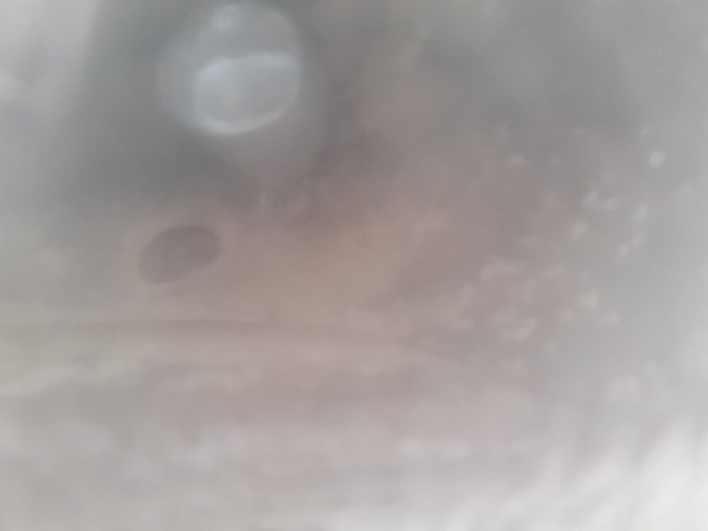 $_57.JPG?set_id=880000500F