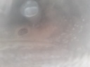 $_57.JPG?set_id=880000500F