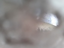 $_57.JPG?set_id=880000500F