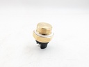 XJS XJ12 V12 COOLANT WATER LOW TEMPERATURE FAN SWITCH