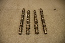 JAGUAR XJ8 XK8 4.0 AJ27 VVT V8 CAMSHAFTS AJ27 NONE SUPERCHARGED FULL SET