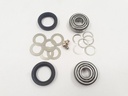REAR HUB IRS LOWER PIVOT BEARING KIT WITH LIP SEALS - CARS WITH INBOARD BRAKES