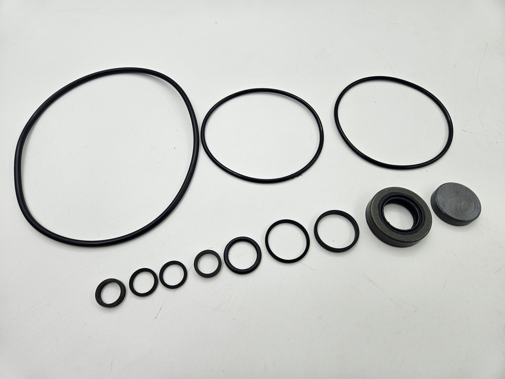 POWER STEERING PAS PUMP SEAL AND O-RING REBUILD KIT