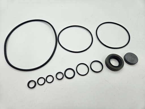 [518564J*, 10992*] POWER STEERING PAS PUMP SEAL AND O-RING REBUILD KIT